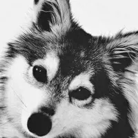 original sound - laiminga2525