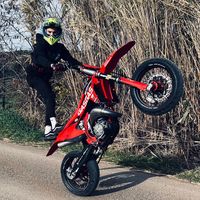 frego_19