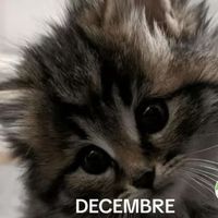 minou2912