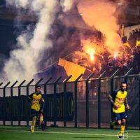 fede.fiorentinii