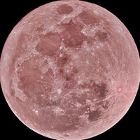 perfect by selena gomez