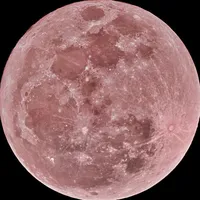 souvenir by selena gomez