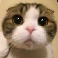 オリジナル楽曲 - the