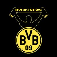 bvb1909.news