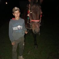 balazs.norbert6