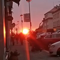 vikin.8334