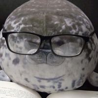 seal_lover237