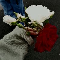 la.personne3