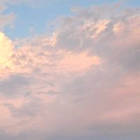 tiktok24242424aaaaasa