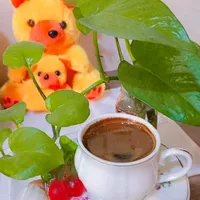 original sound - _244_32