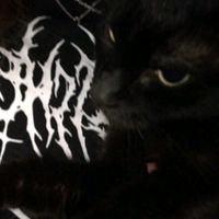jmystify