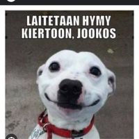 munupeatseuraajat