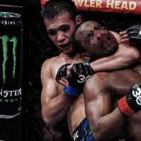 stoic_mma