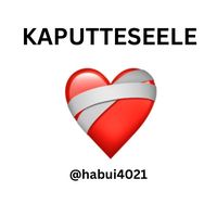 habui4021