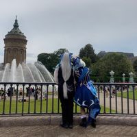 xerda_cos