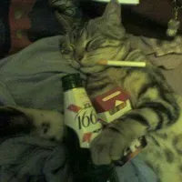 original sound - worryaboutyourself505