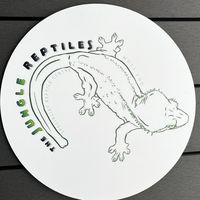 thejunglereptilesmossend