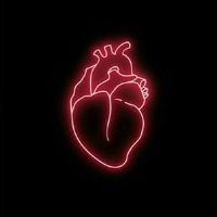 fenixzzz_lyrics