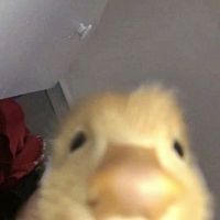 another day by stray kids