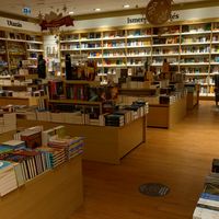 _.lilko._