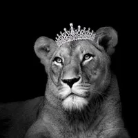 original sound - melodii._15