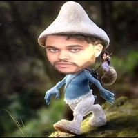 mrs.tesfayexotwod