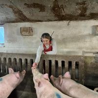 matilde8800