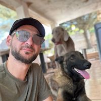 pastor_belga_malinois_