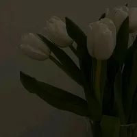 original sound - nutshell_01