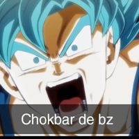 user0291368340