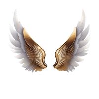guardianangelhalo