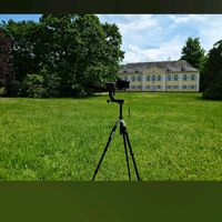 الصوت الأصلي