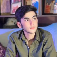 hasnainshah9113