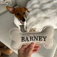 barneyslife15