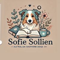sofiesollien