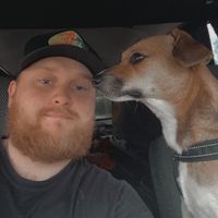 alkuperäinen ääni