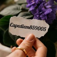 carpediem859005