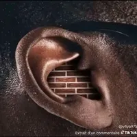 Je ne dirai rien