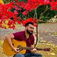 original sound - bilawal.sayed.mus0