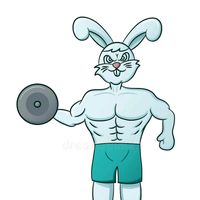 bunnylifts1