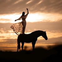 hearthhorses