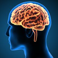 My yé is different to your yé