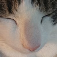 roxyeighteen