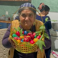 bnicutazanadelastrehaia