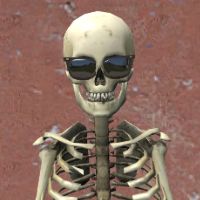 baggyskull