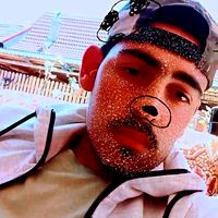 sparviero._.lupu._.singu