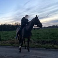 loenavh1