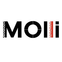 mollipl_com