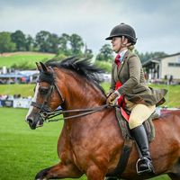 danwoodstud