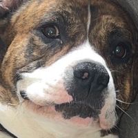 in ha mood x turn back p3 on sc